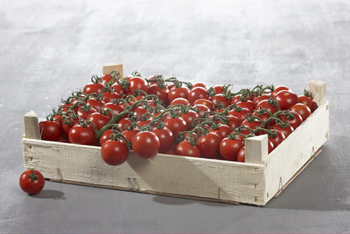 Plateau tomates